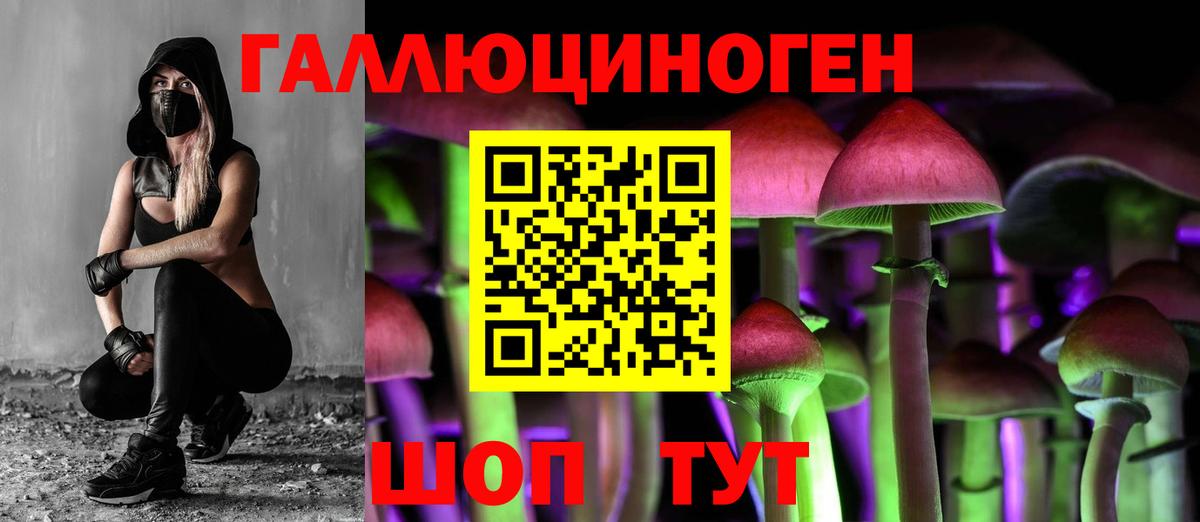 Тулун  Галлюциногенные грибы Magic Shrooms  цена наркотик  Псилоцибиновые грибы MAGIC MUSHROOMS  Вход с VPN 