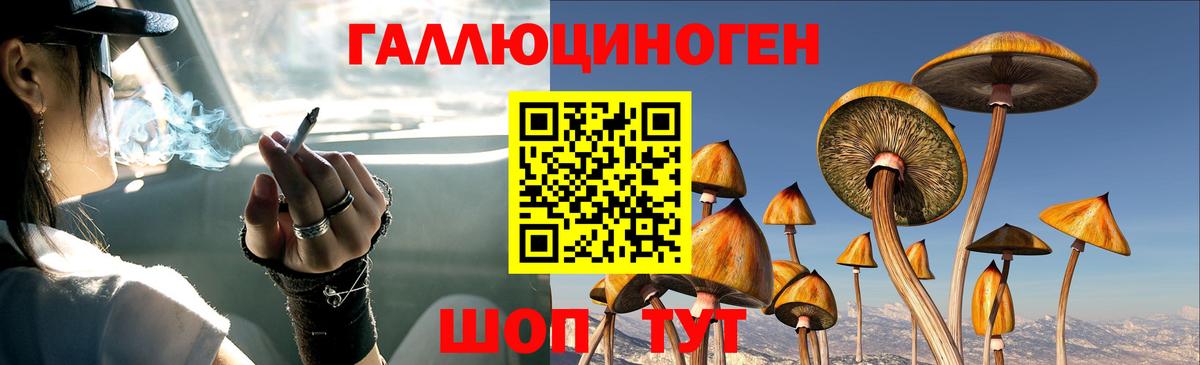 Псилоцибиновые грибы Magic Shrooms Тулун